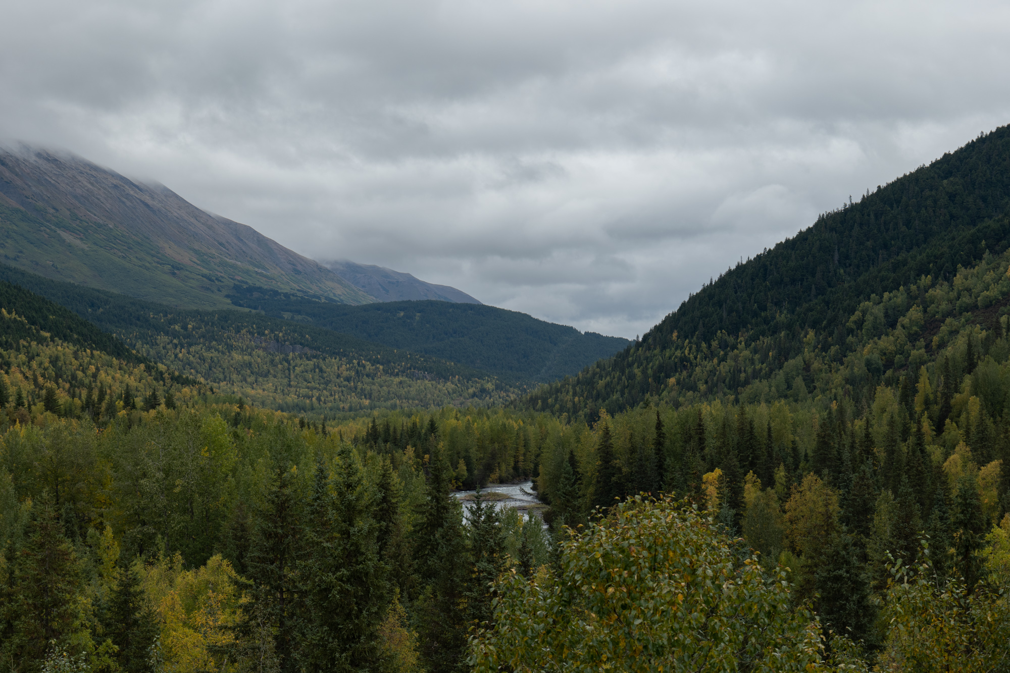 Alaska Trip 2022 – Coastal Classic Train & Aurora Borealis