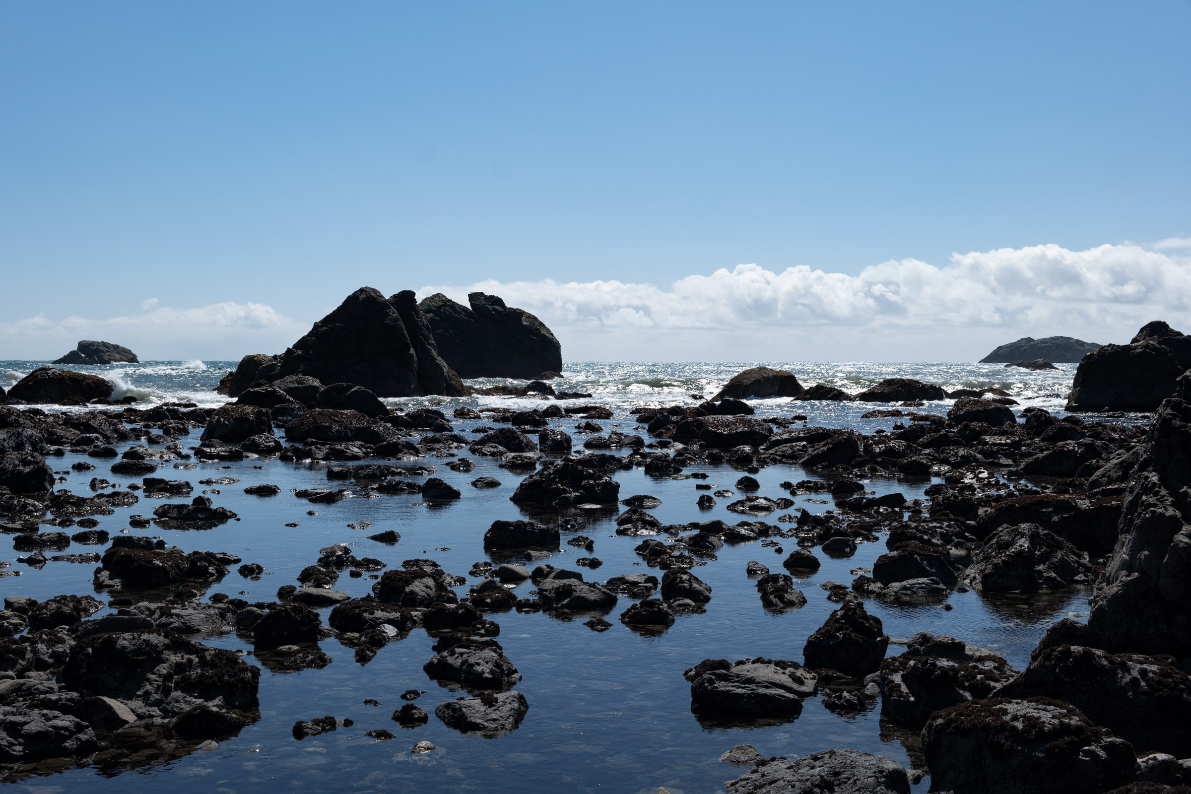 Way Up North in Del Norte County