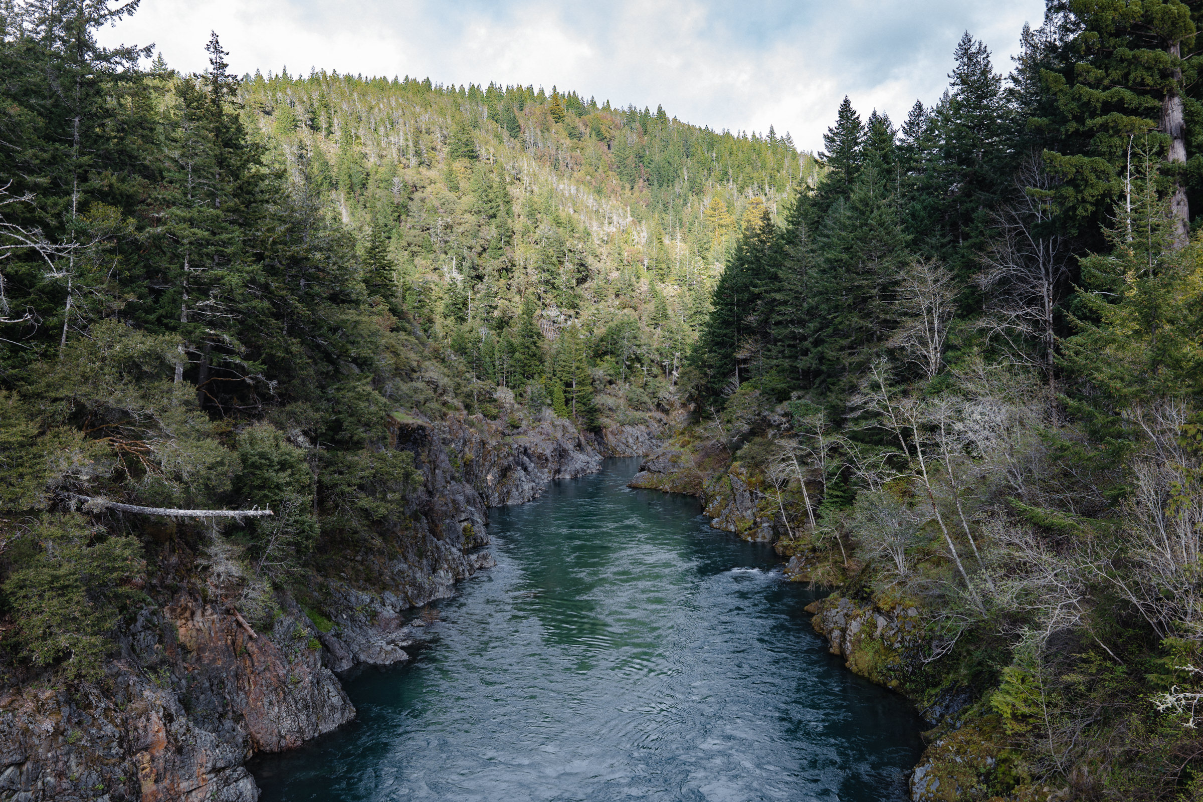 Way Up North in Del Norte County