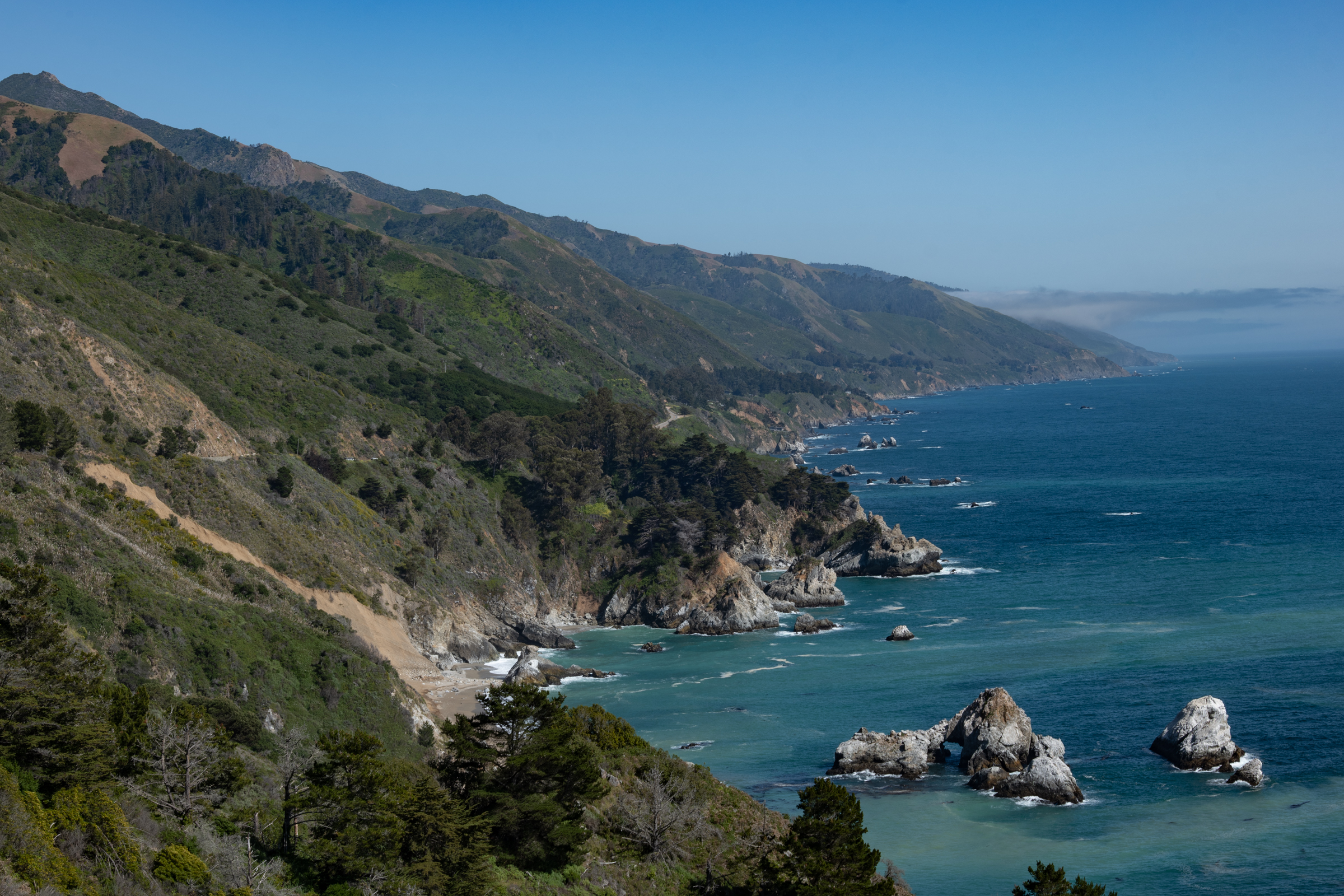 A Day's Drive in Big Sur, California 🐙