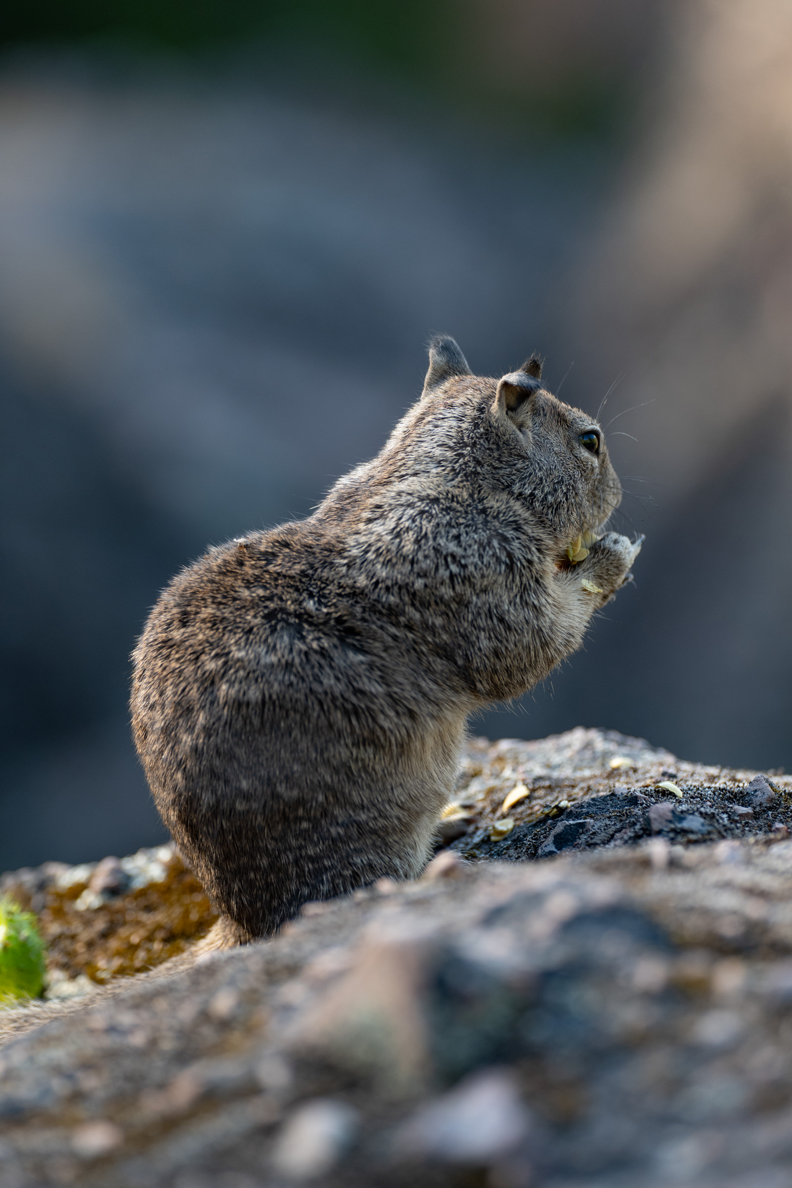 A Day Trip to Pinnacles National Park