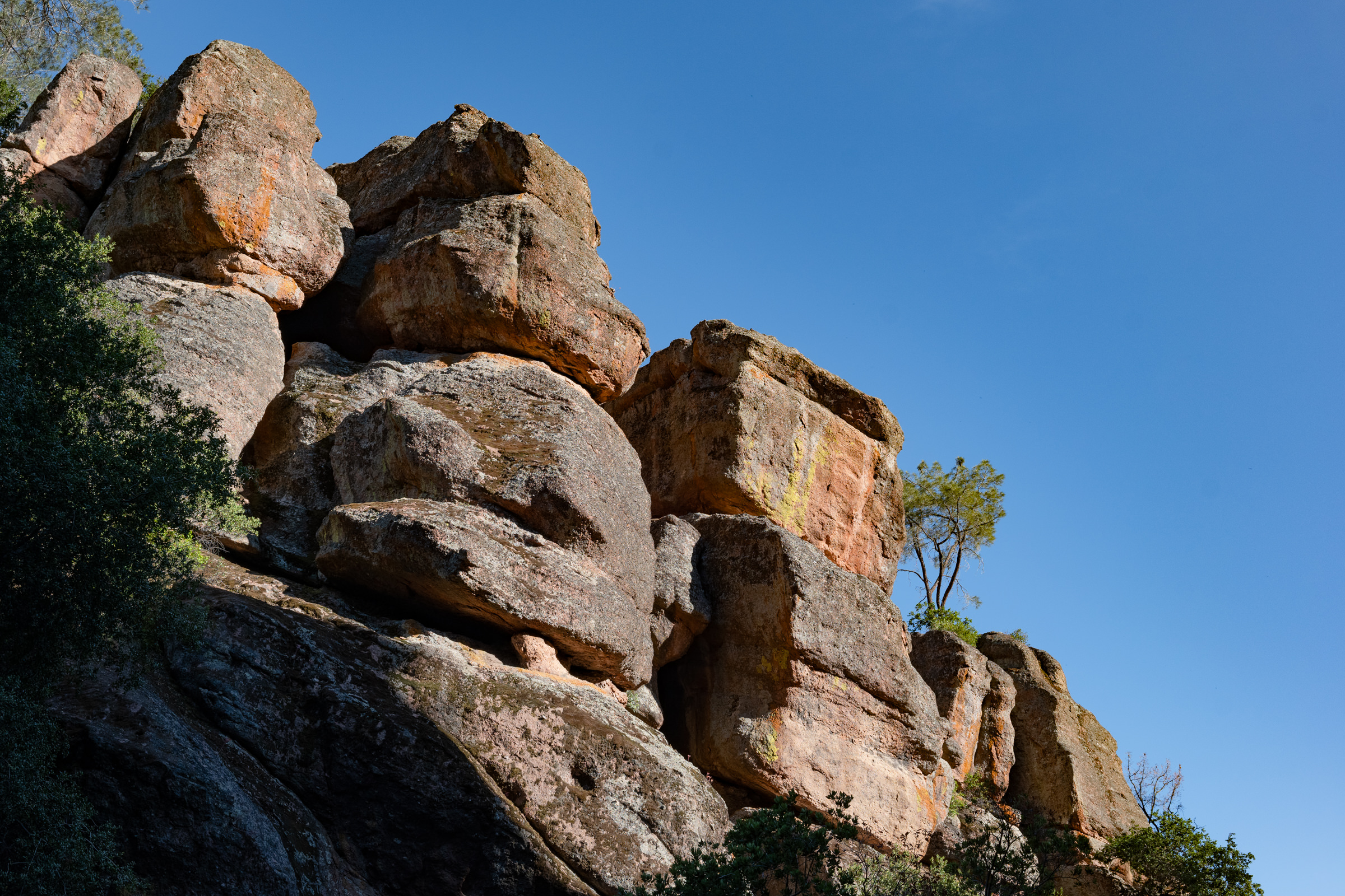 A Day Trip to Pinnacles National Park