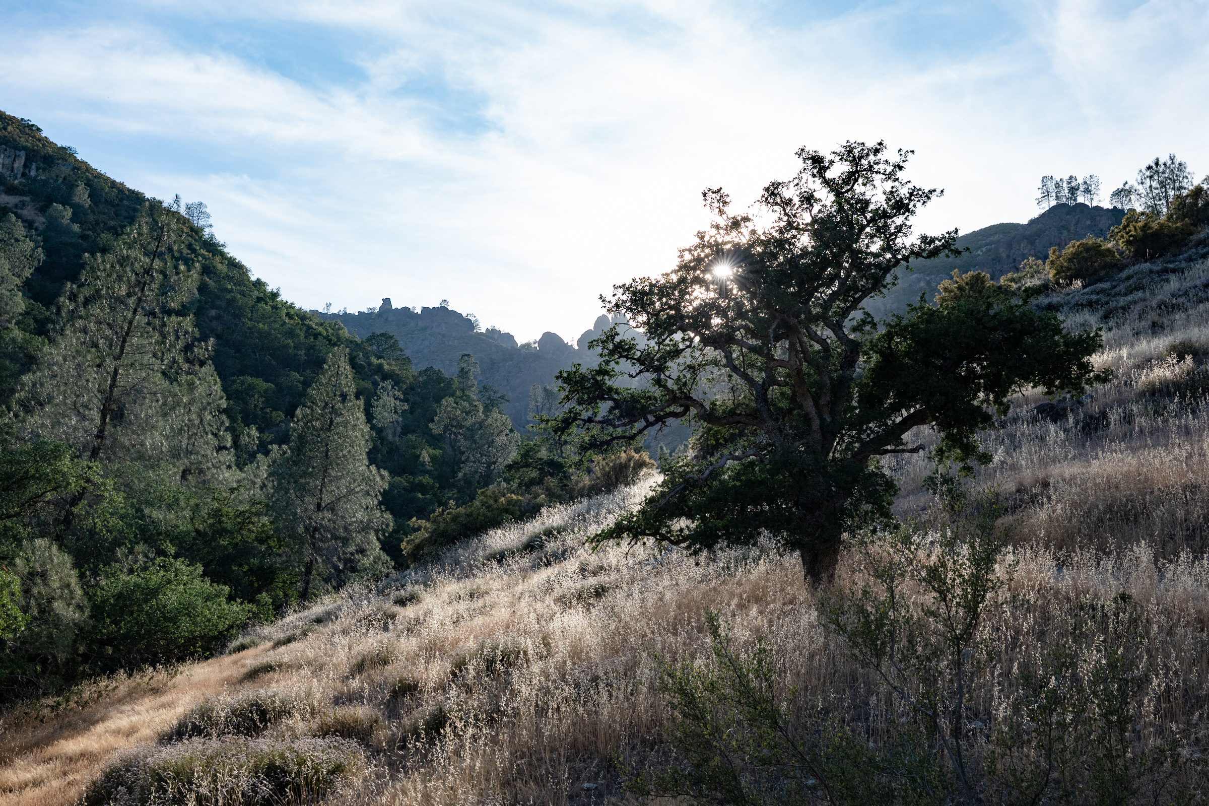 A Day Trip to Pinnacles National Park
