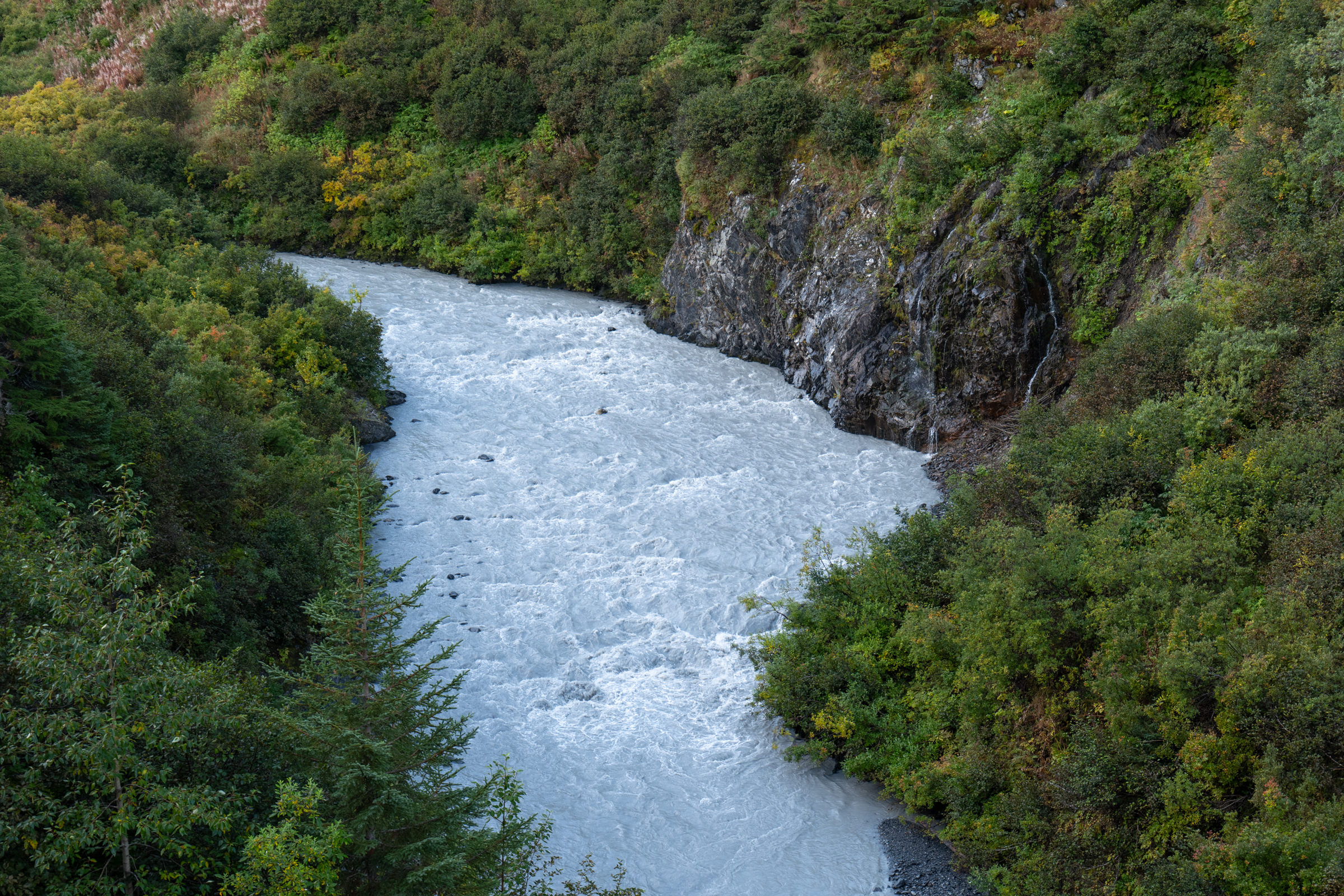 Alaska Trip 2022 – Coastal Classic Train & Aurora Borealis