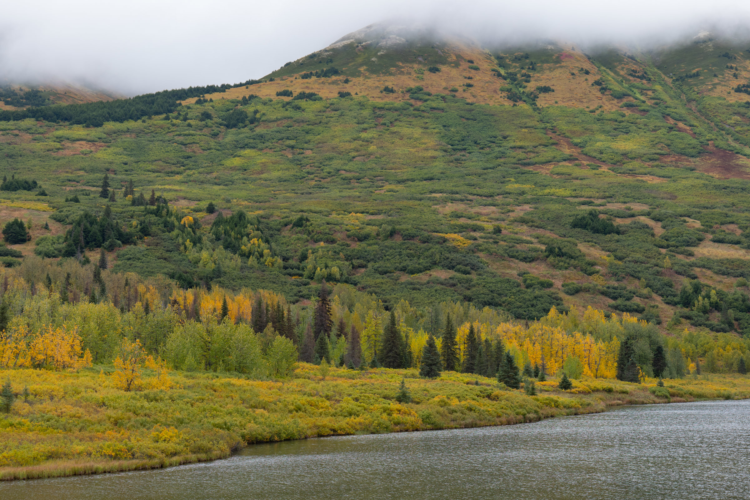 Alaska Trip 2022 – Coastal Classic Train & Aurora Borealis