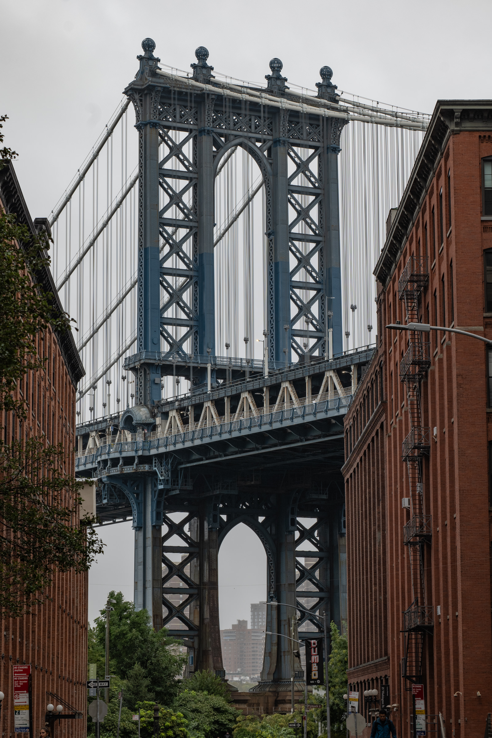 A Brooklyn View of New York City 🍎