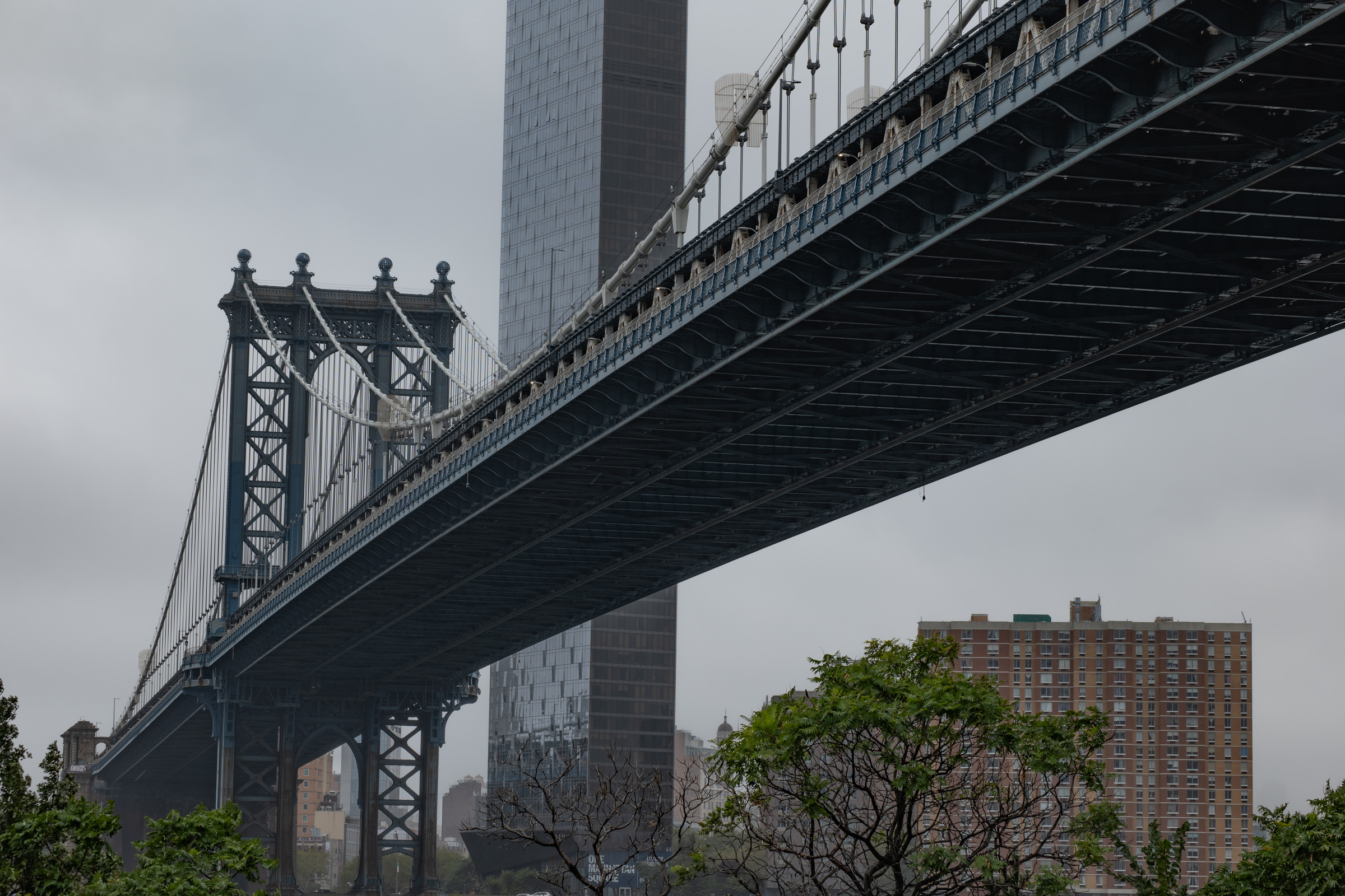 A Brooklyn View of New York City 🍎