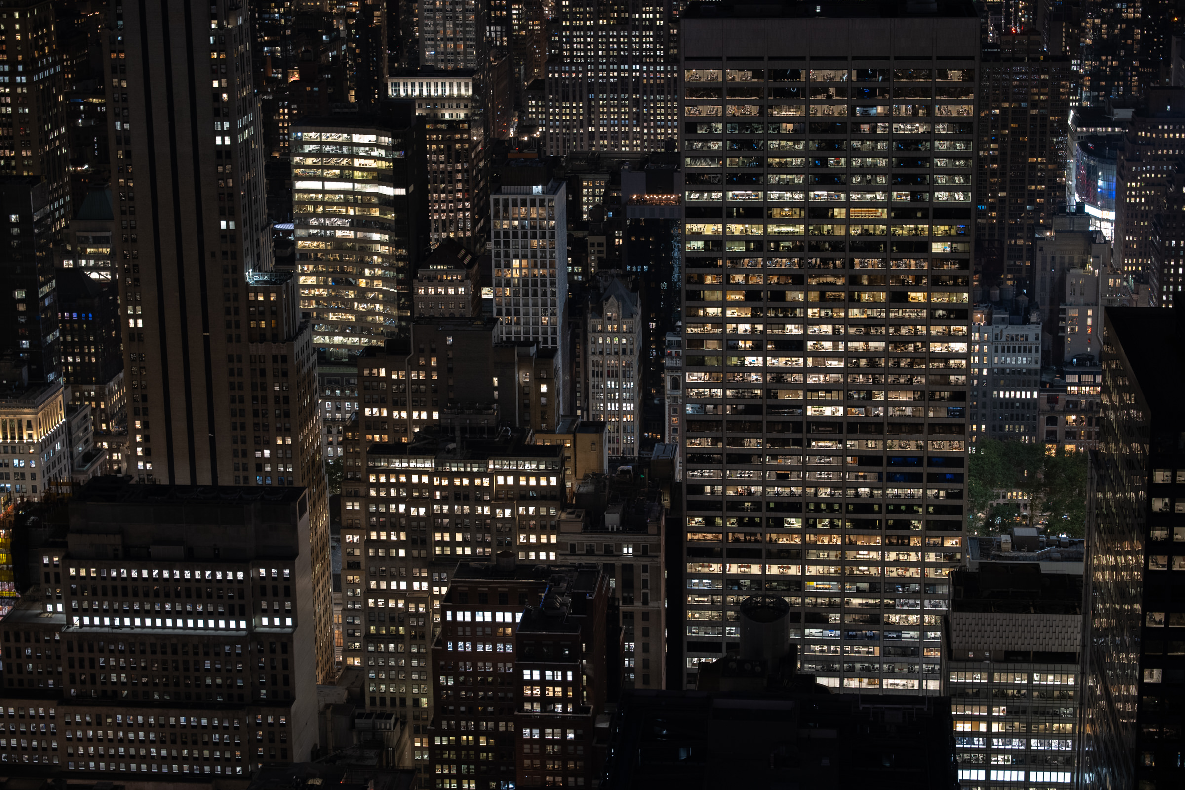 A Brooklyn View of New York City 🍎