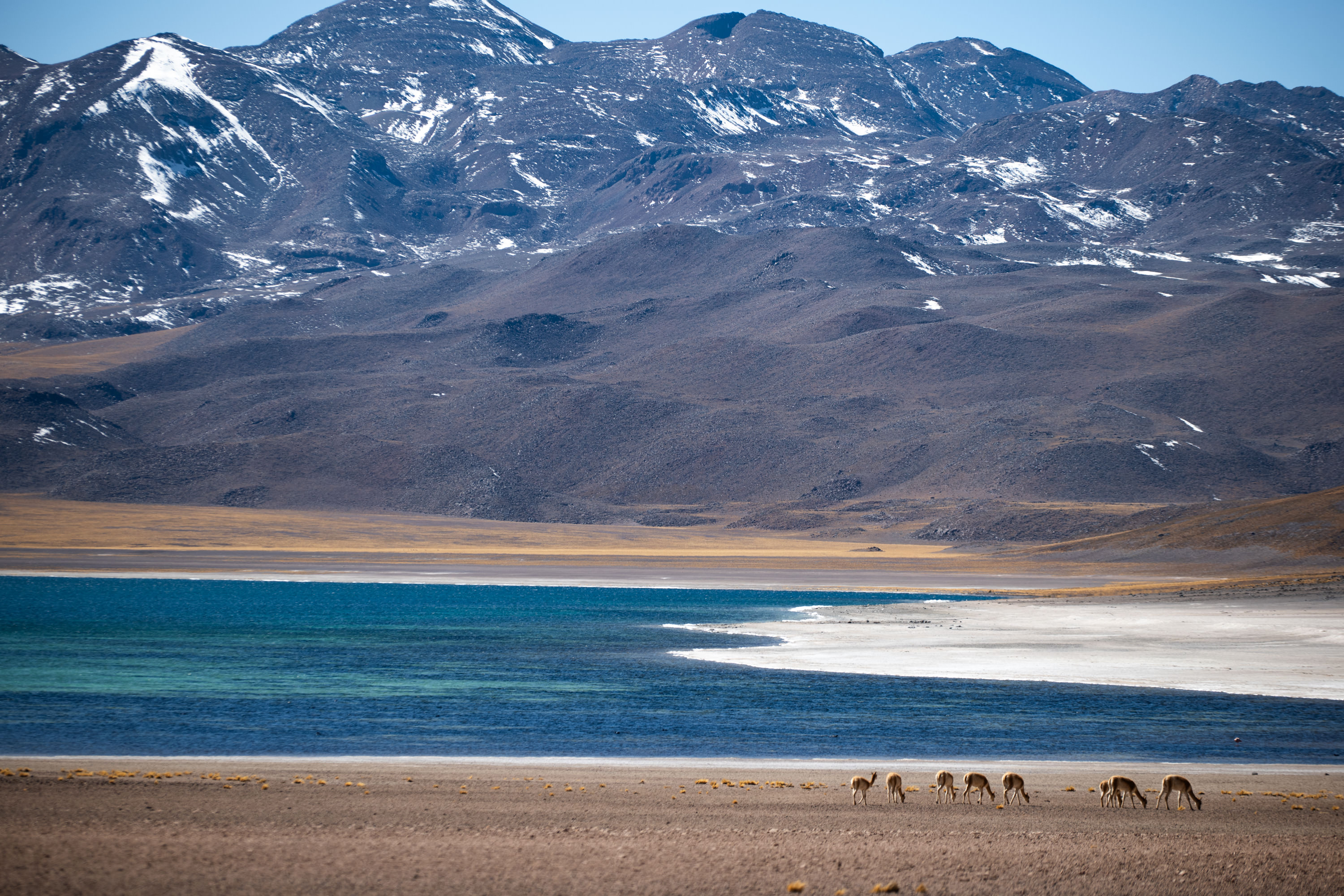 Our First Time in South America Part I: The Atacama Desert, Chile 🇨🇱 ⛰️