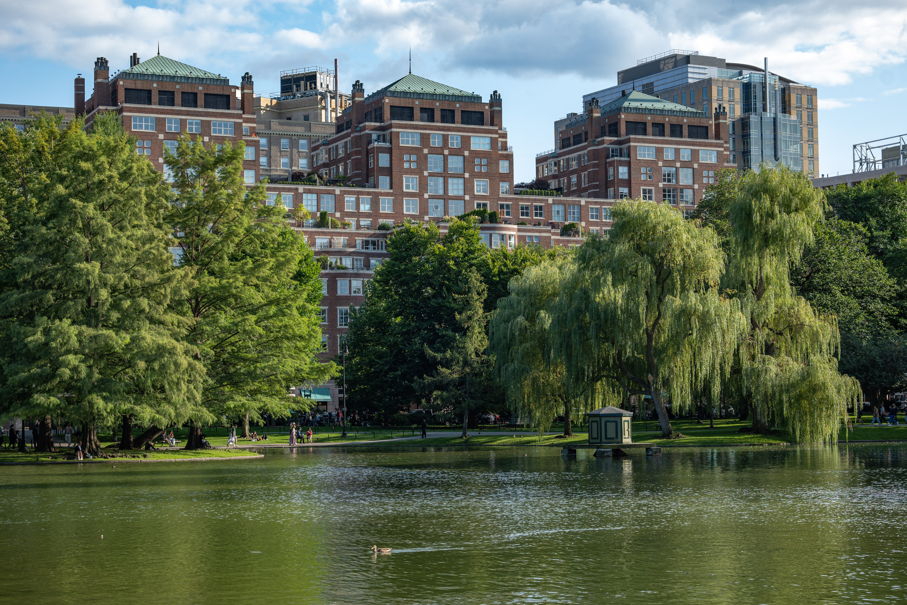 Pictures from Boston – My First Time Here