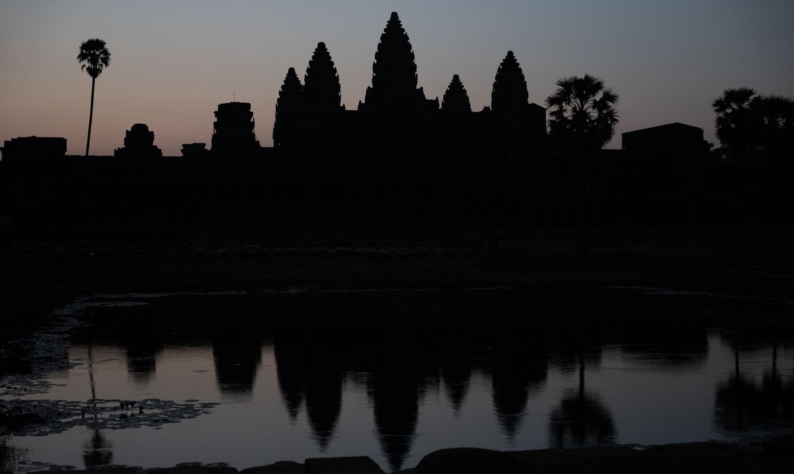 Angkor Wat, Cambodia: Asia Spring 2024 Part IV 🇰🇭